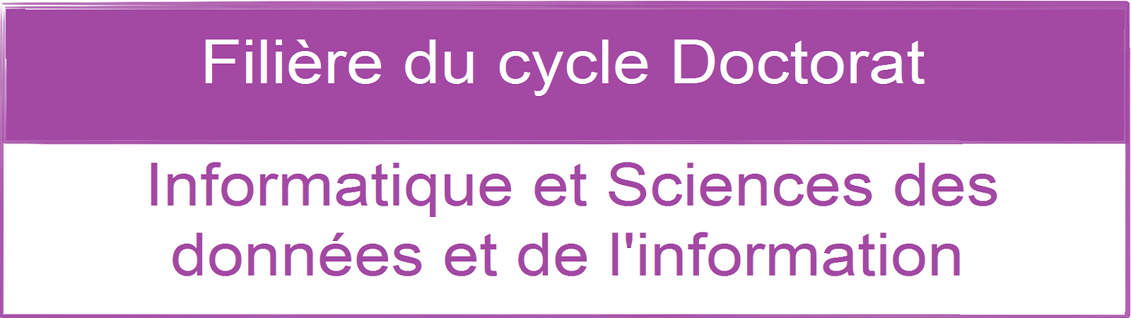 Filière du Cycle de Doctorat: INFORMATIQUE ET SCIENCES DES DONNÉES ET DE L’INFORMATION