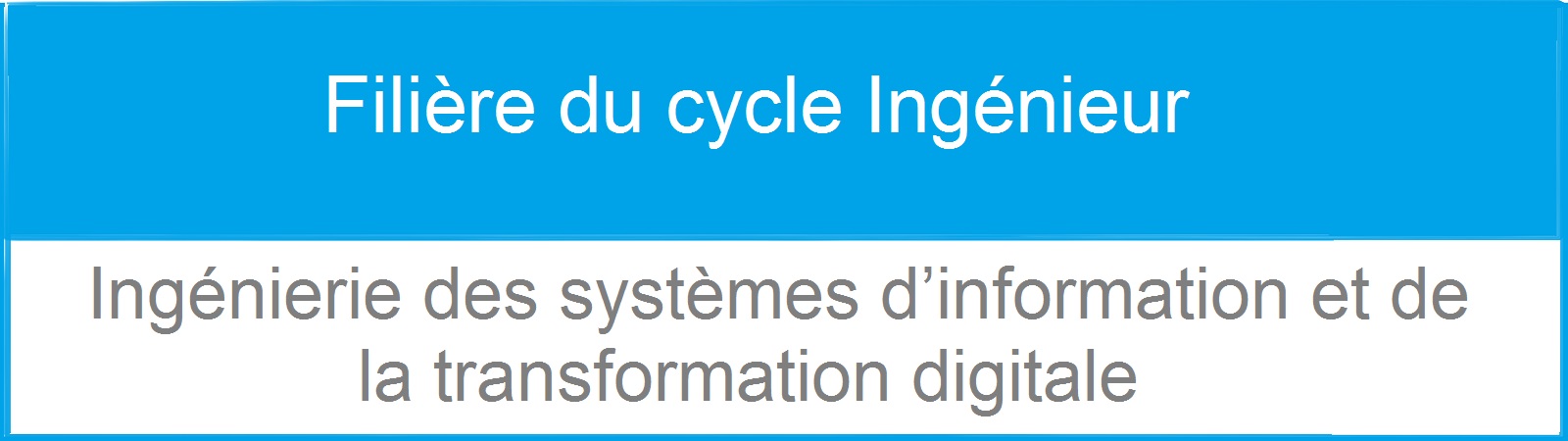 Filière du cycle Ingénieur: Ingénierie des systèmes d’information et de la transformation digitale