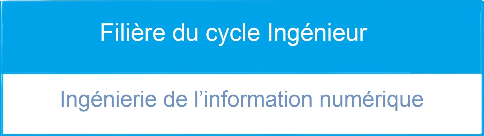 Filière du cycle Ingénieur: Ingénierie de l’information numérique