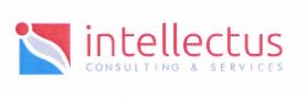 Intellectus Consulting & Services
